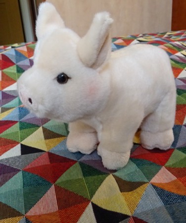 Selátko Pepřík - Teddy Hermann Hirschaid